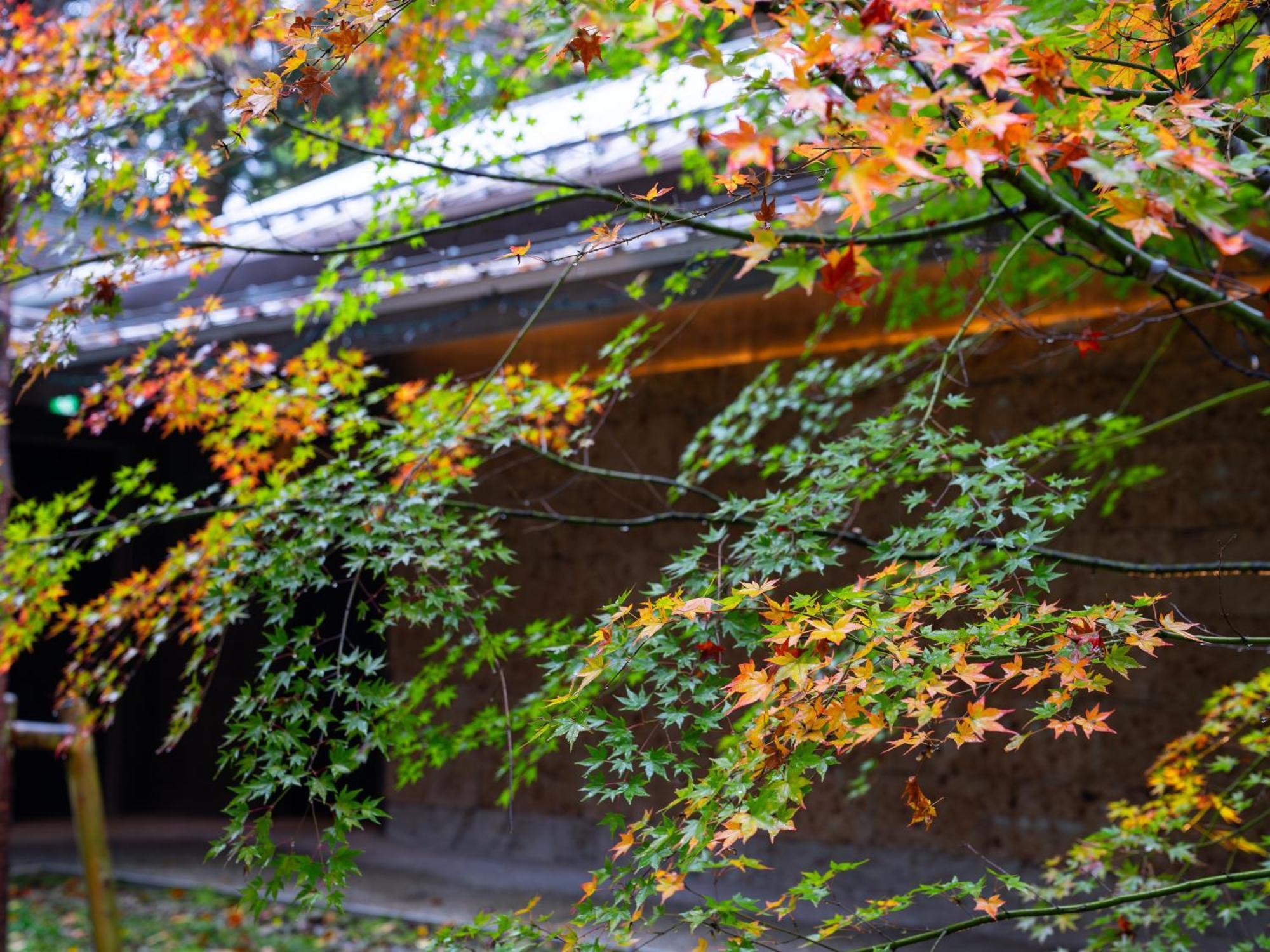 Hotel Nikko Nishimachi Club Esterno foto